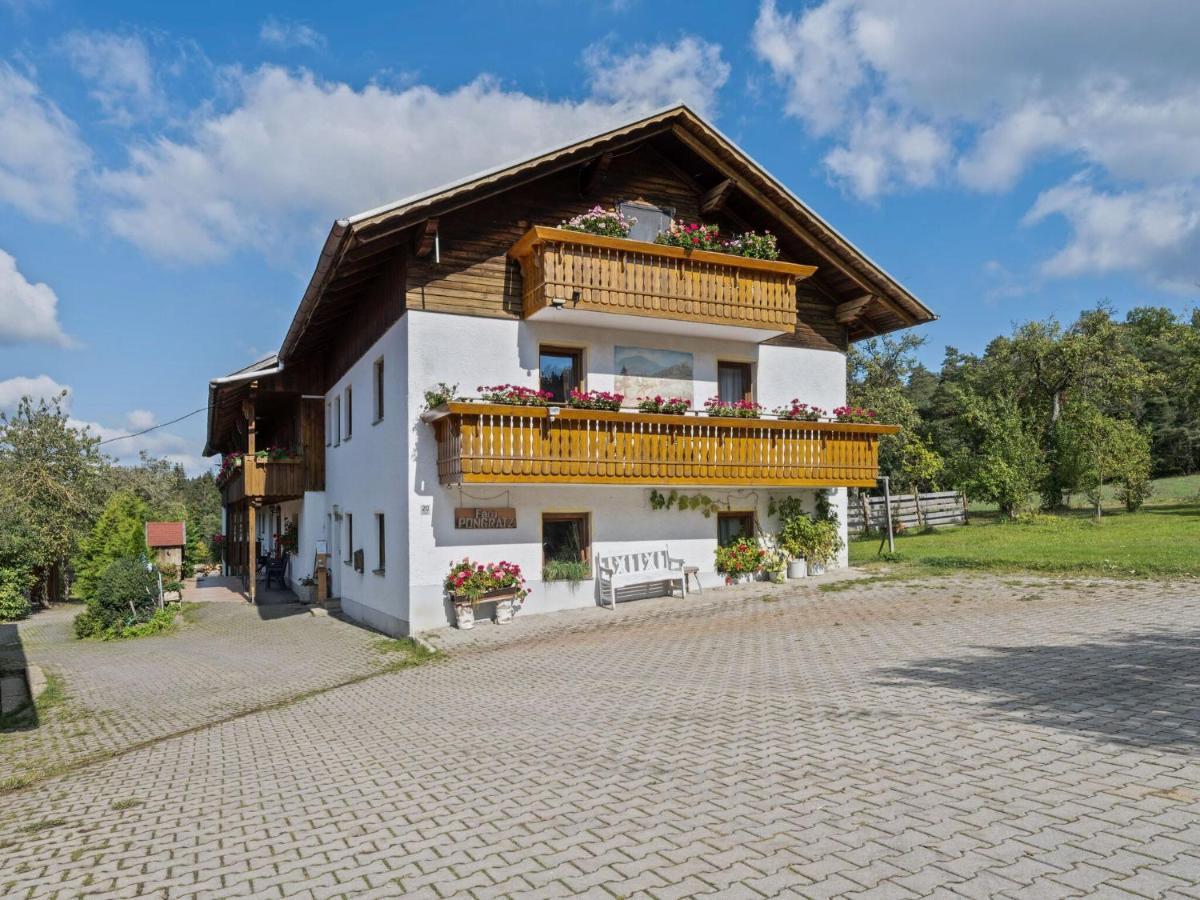 Flat On A Farm Near The Arber Ski Area Neukirchen beim Heiligen Blut Buitenkant foto