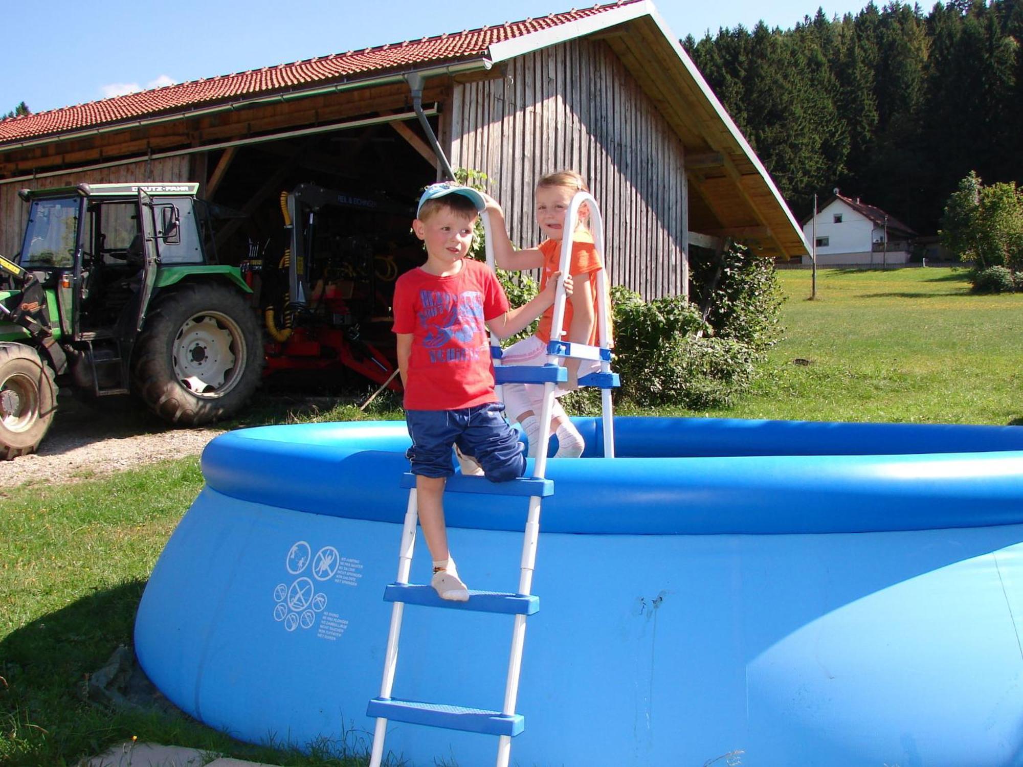 Flat On A Farm Near The Arber Ski Area Neukirchen beim Heiligen Blut Buitenkant foto