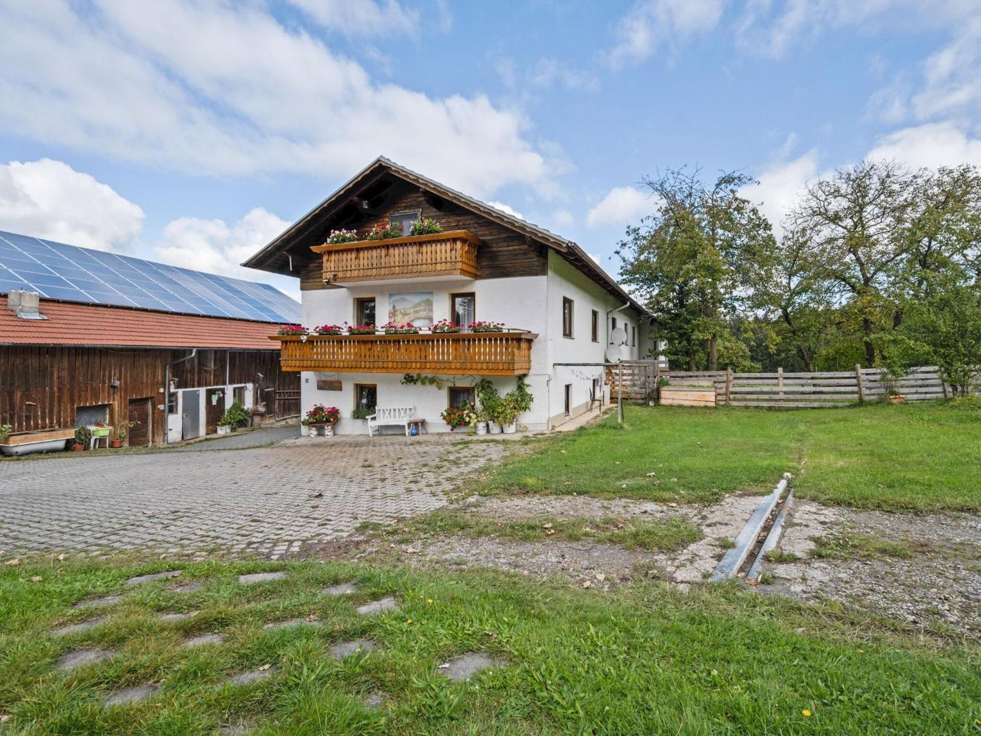 Flat On A Farm Near The Arber Ski Area Neukirchen beim Heiligen Blut Buitenkant foto