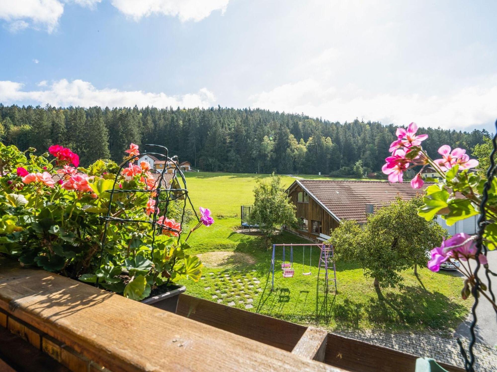 Flat On A Farm Near The Arber Ski Area Neukirchen beim Heiligen Blut Buitenkant foto