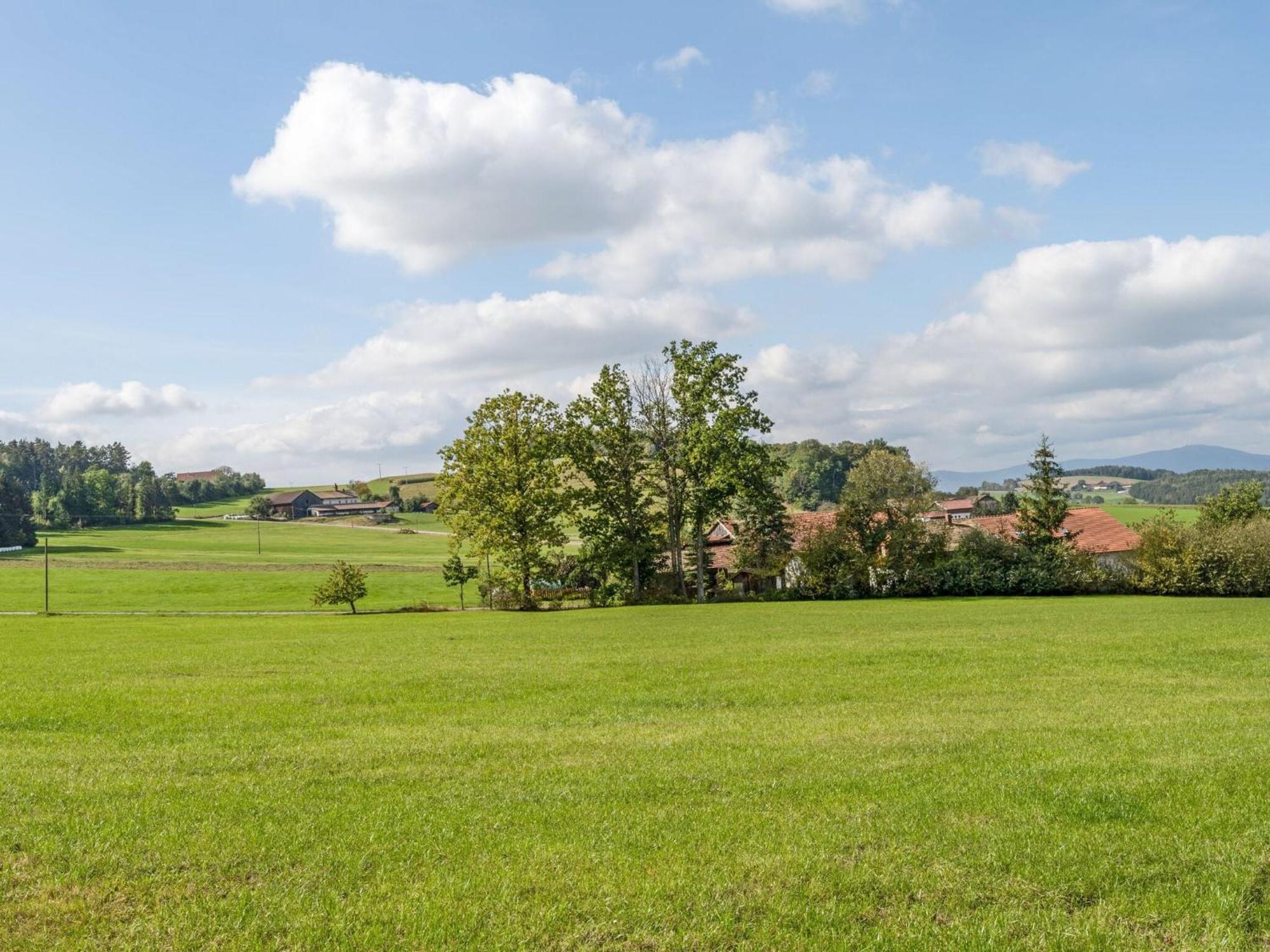 Flat On A Farm Near The Arber Ski Area Neukirchen beim Heiligen Blut Buitenkant foto